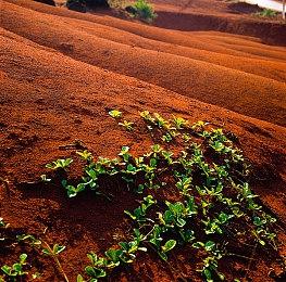 《时间旅者：重生曙光》将于下周进行重大消息发布