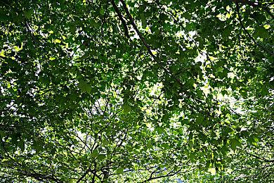 《战地6》也要定价80欧元 高级版更是要110欧元